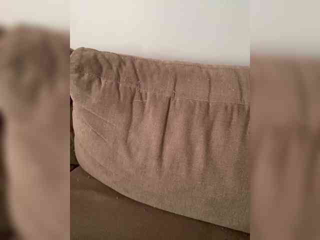 FurElisse webcam