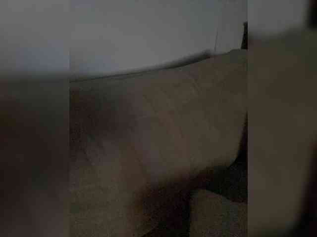 FurElisse webcam