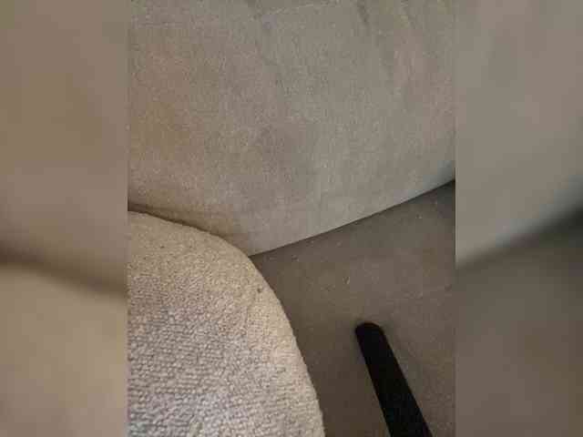 FurElisse webcam