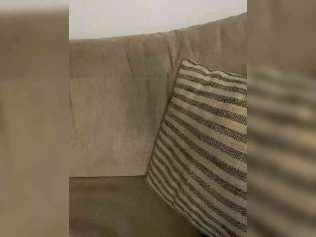 FurElisse webcam