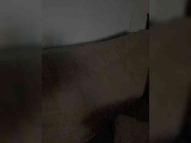FurElisse