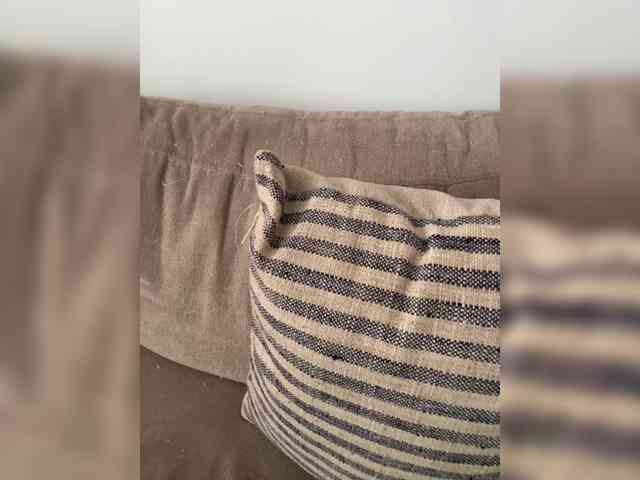FurElisse webcam