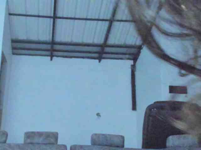 katrinadj webcam