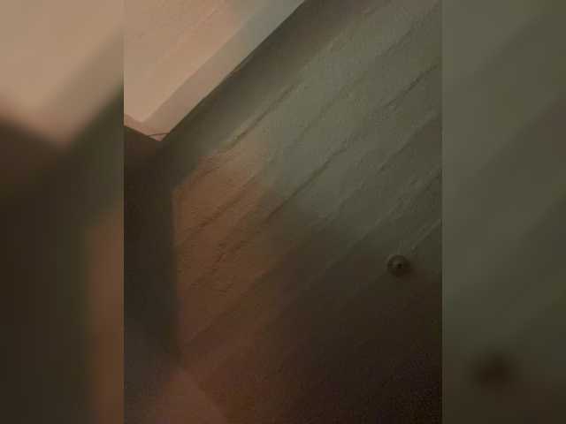 Preview of britt-grey