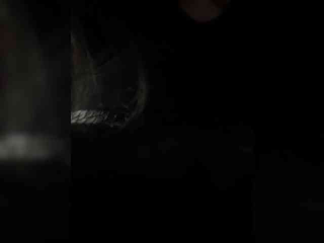 britt-grey webcam