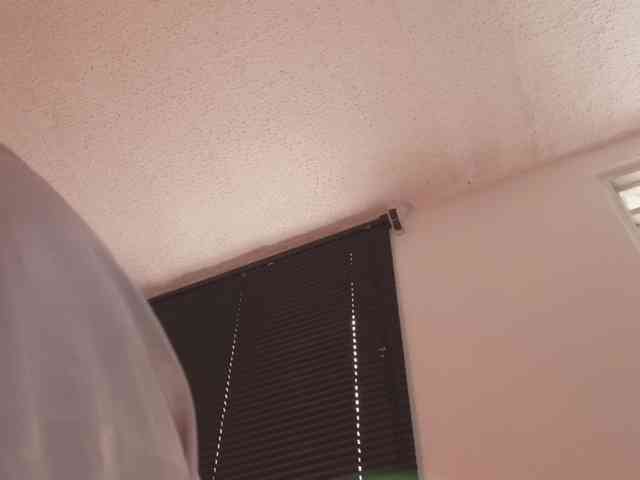 britt-grey webcam