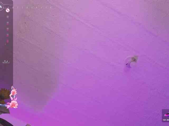 britt-grey webcam