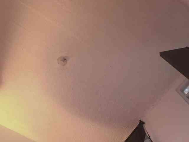 britt-grey webcam