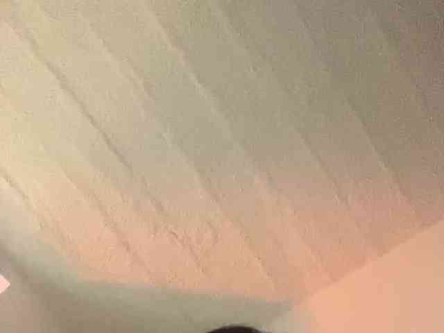 britt-grey webcam