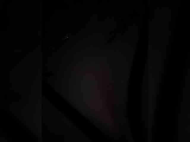 britt-grey webcam