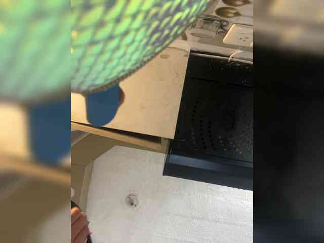 britt-grey webcam