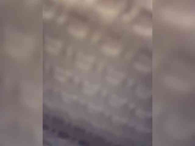 britt-grey webcam