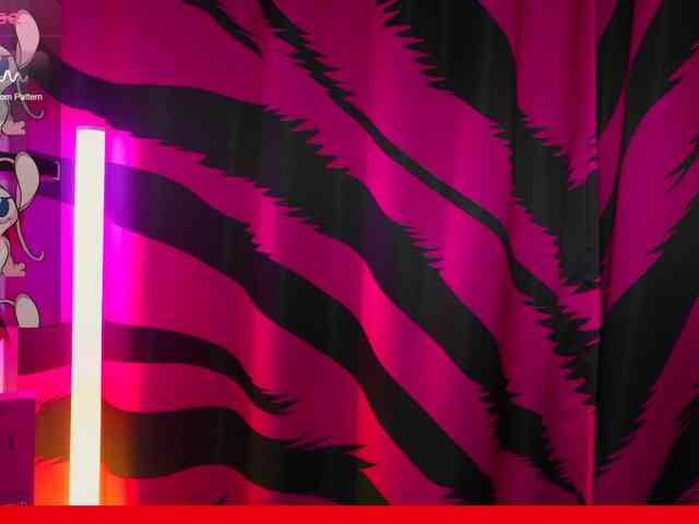 VasyaSylvia1 webcam