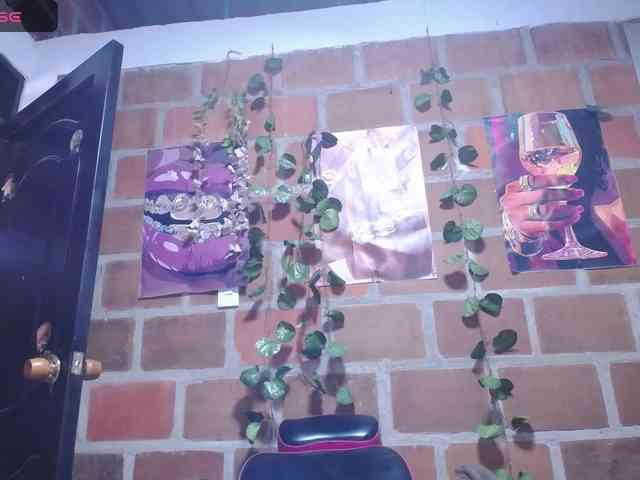 RoosGonzaleX webcam