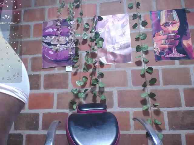 RoosGonzaleX webcam