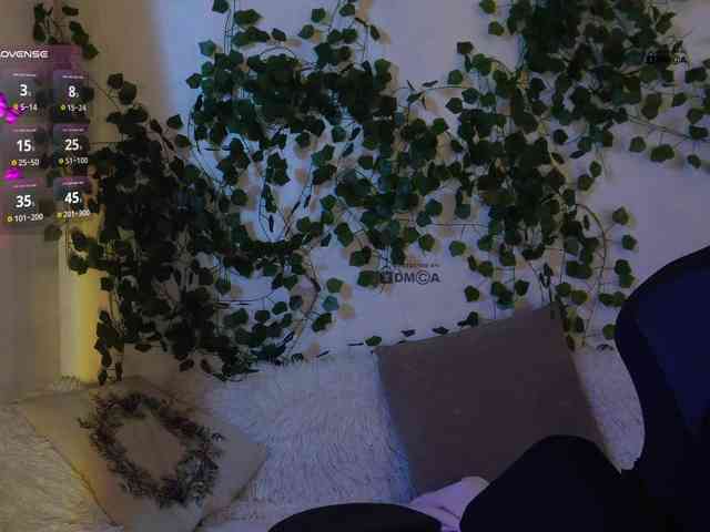 _Q_ webcam