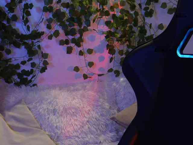 _Q_ webcam
