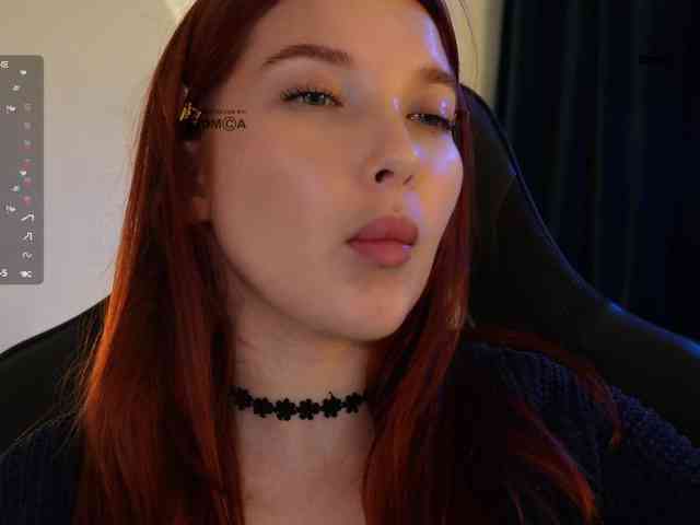 _Q_ webcam
