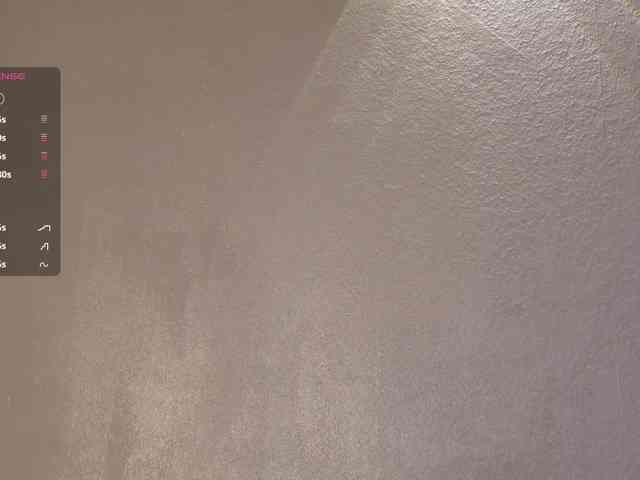 _Q_ webcam
