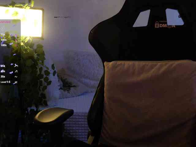 _Q_ webcam