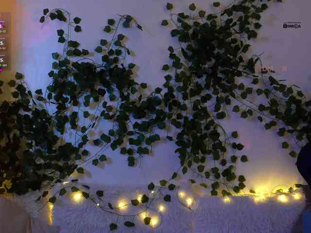 _Q_ webcam
