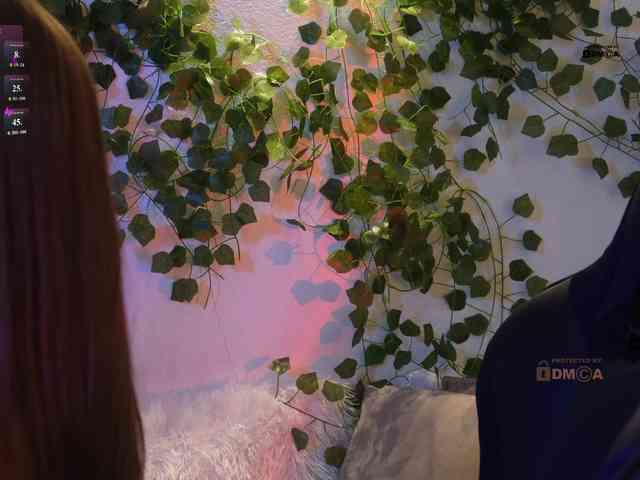_Q_ webcam