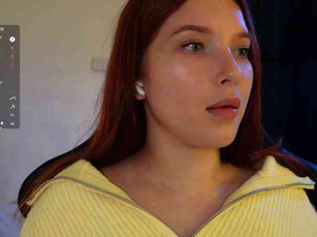 _Q_ webcam