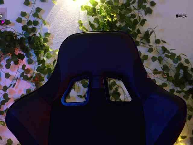 _Q_ webcam
