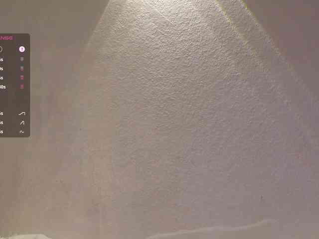 _Q_ webcam