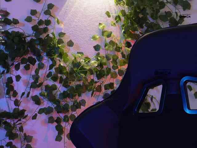 _Q_ webcam