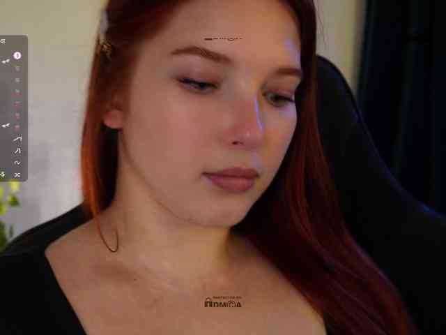 _Q_ webcam