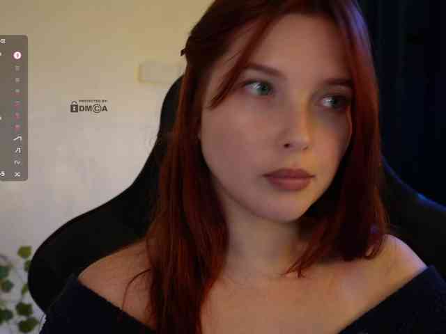 _Q_ webcam
