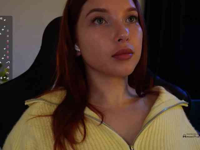 _Q_ webcam