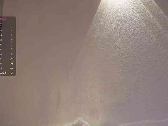 _Q_ webcam