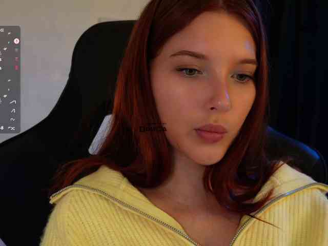 _Q_ webcam