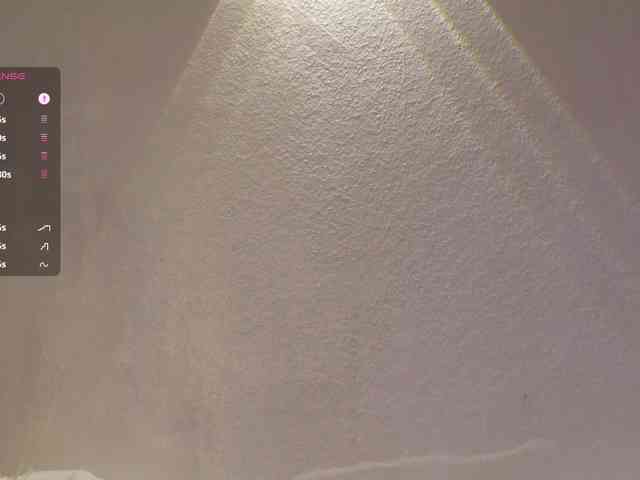 _Q_ webcam
