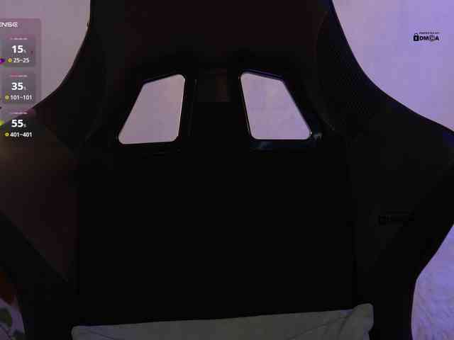 _Q_ webcam