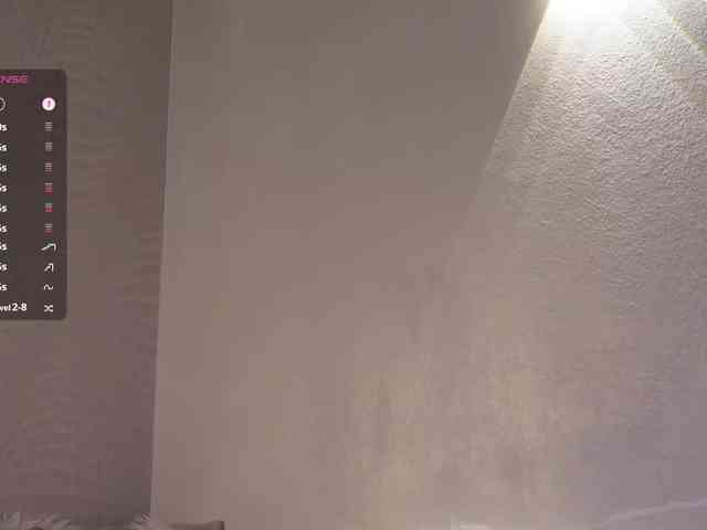 _Q_ webcam
