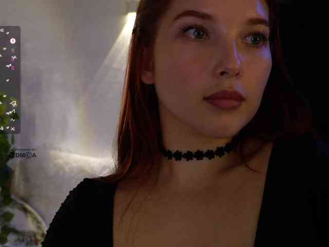 _Q_ webcam