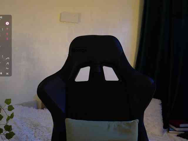 _Q_ webcam