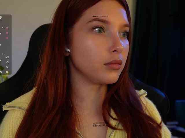 _Q_ webcam