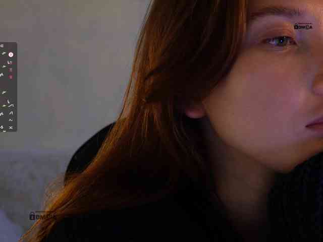 _Q_ webcam
