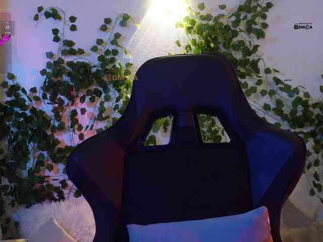 _Q_ webcam
