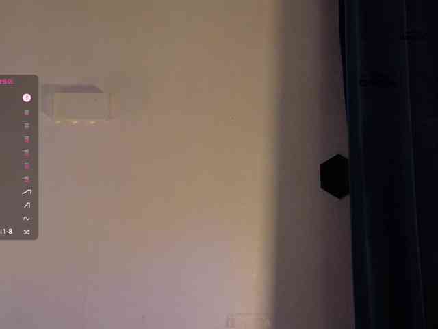 _Q_ webcam
