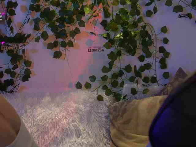 _Q_ webcam
