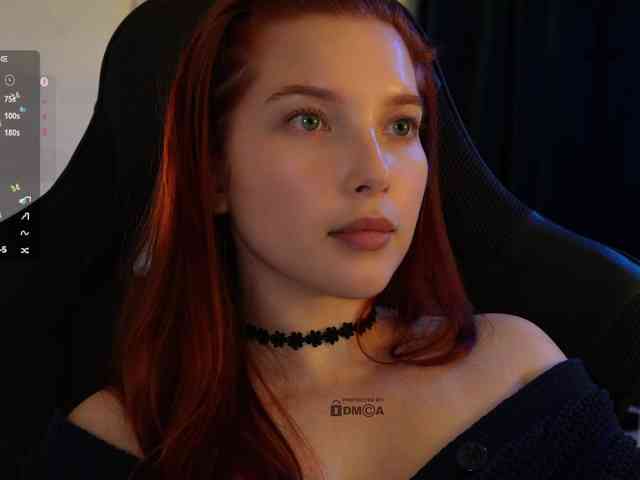 _Q_ webcam