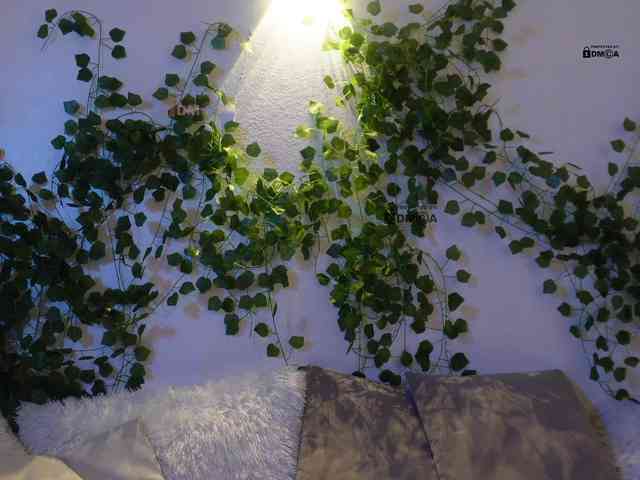 _Q_ webcam