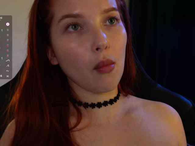 _Q_ webcam