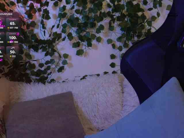 _Q_ webcam