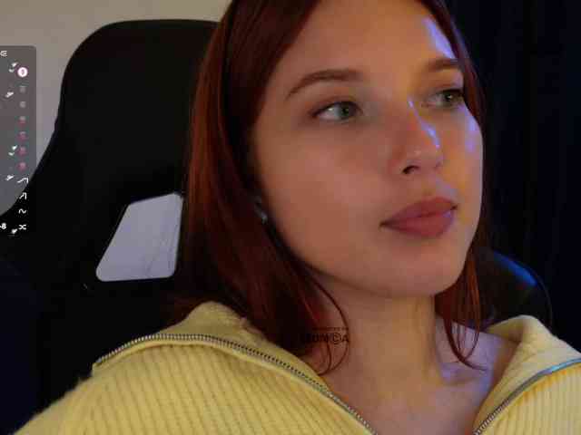 _Q_ webcam